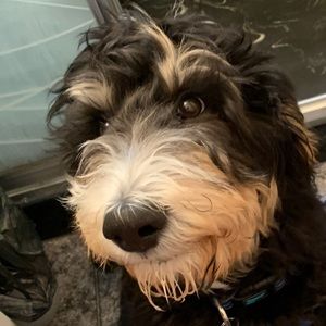 Meet your Posher, Lindsay